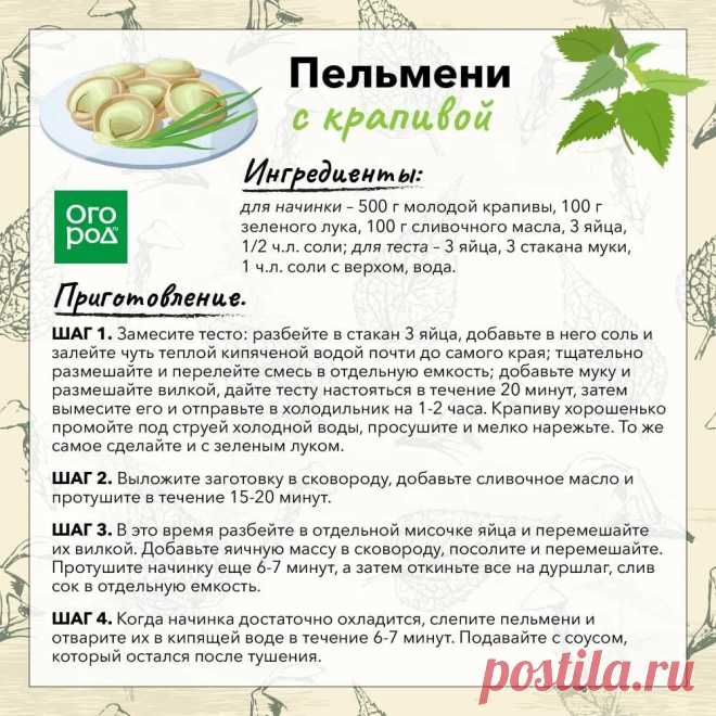 Пельмени с крапивой
