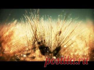 Подборка замечательной музыки для сна.
Добавляйте себе! Спокойной ночи