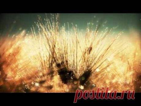 Подборка замечательной музыки для сна.
Добавляйте себе! Спокойной ночи