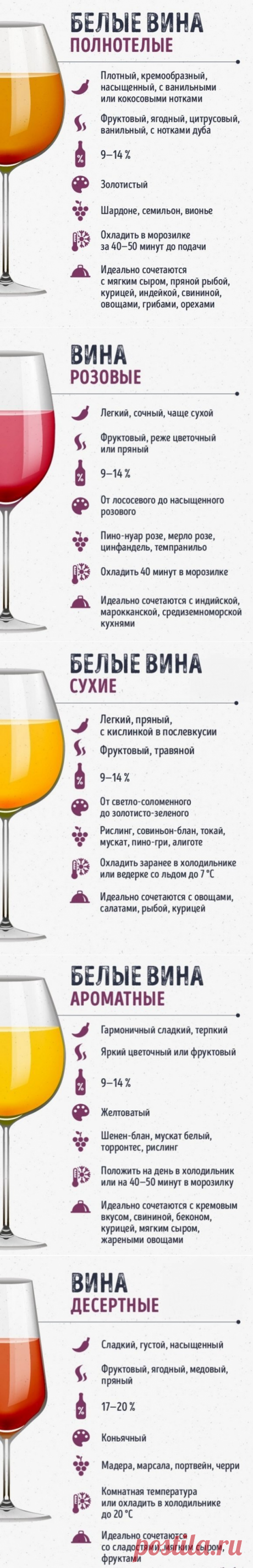 Учимся правильно разбираться в винах - Все для Вас!