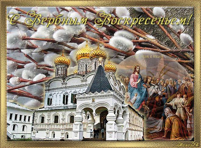 Дождалась наша верба весны –
В Лету канули зимние сны!
Тянет к солнышку руки свои,
А в руках у неё посмотри:
Нежным пухом покрытые почки,
Словно тут на ветвях ангелочки
С нами праздника светлого ждут –
В каждом доме уж создан уют!
Ветки вербы пройдут освященье,
А потом уже, как украшенье,
Долго в доме их будут хранить,
Чтоб болезнь от семьи отводить.
Только вербу ломать я не буду –
Приглашу я к пушистому чуду
Всех друзей, чтоб устроить веселье
В праздник - Вербное Воскресенье!