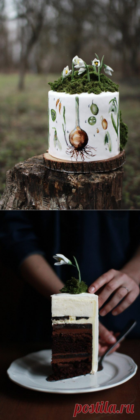 Многослойный торт | otherpies.com