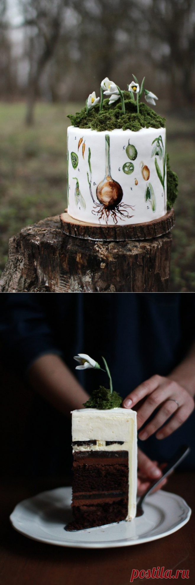 Многослойный торт | otherpies.com