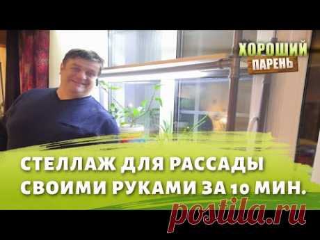 стеллаж для рассады на подоконник с подсветкой своими руками