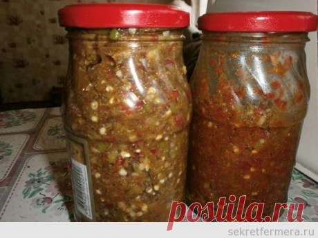Рецепт аджики с огоньком | Секрет Фермера
