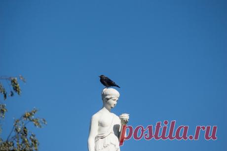 День посёлка и день города: matilda_i_ja