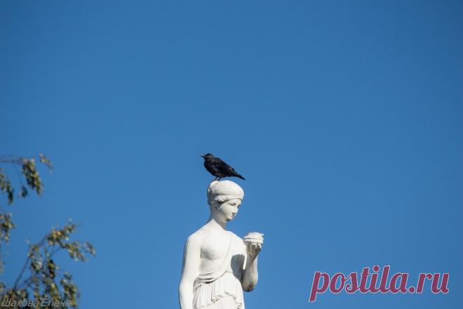 День посёлка и день города: matilda_i_ja