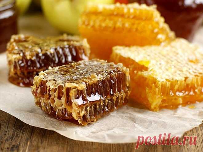 Владимир Жданов: Шокирующая правда о мёде