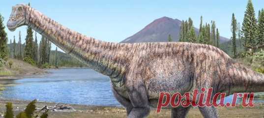 Большой травоядный ящер бродил среди пышных папоротников и пальм в конце мелового периода.