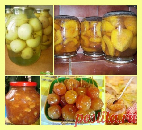 Заготовки из яблок. 24 рецепта