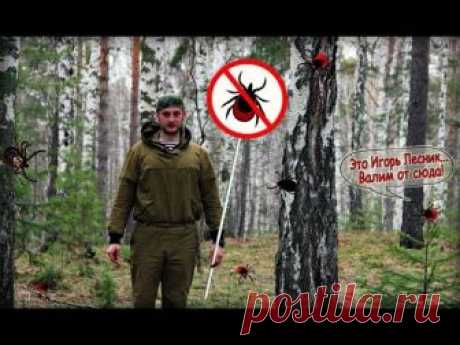 Клещи и защита от них