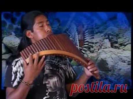ECUADOR ANDES PASTOR SOLITARIO - YouTube