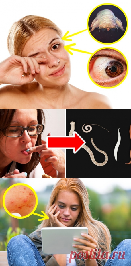 5 частей тела, которые нельзя трогать грязными руками