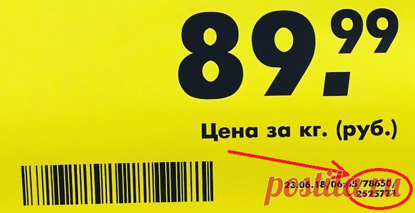 Поставить в тупик кассира в Пятерочке | Тихон Смирнов | Яндекс Дзен