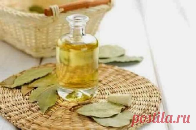 Ніякого варикозу, мігреней і проблем з пам’яттю: і все це зможе усунути ось цей листочок – potik.biz.ua