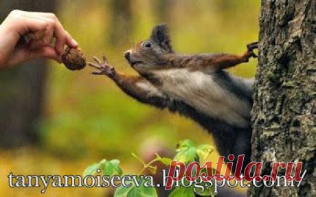 Татьяна Моисеева – Google+