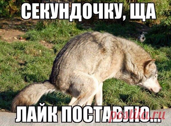 Секундочку