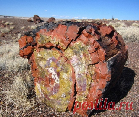 Окаменевший лес Аризоны - Путешествуем вместе