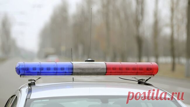 В Ленинградской области задержали девушку, бросившую младенца в пакете