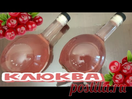 (18+) НАСТОЙКА на КЛЮКВЕ. Классический РЕЦЕПТ и Дегустация