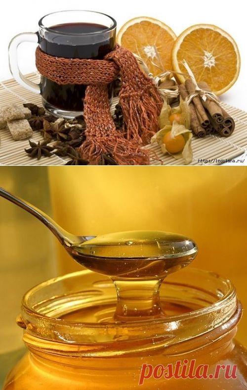 Старинные рецепты. Напитки для красоты и омоложения | Подружки