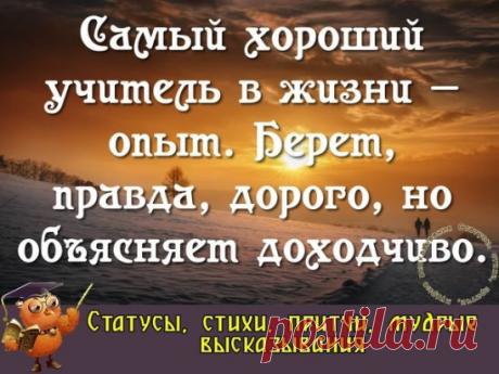 Чему бы грабли не учили, а сердце верит в чудеса…