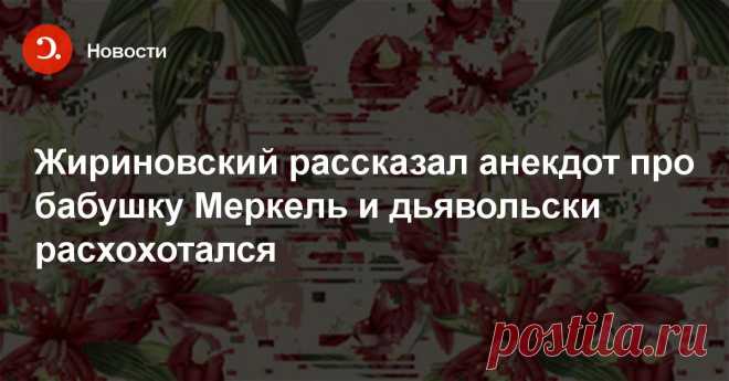 Жириновский рассказал анекдот про бабушку Меркель и дьявольски расхохотался