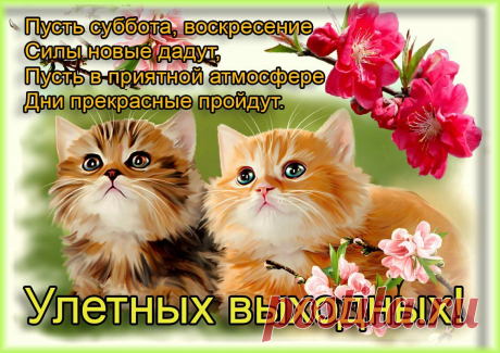«25790940.jpg (1134×801)» — карточка пользователя Владимир Н. в Яндекс.Коллекциях