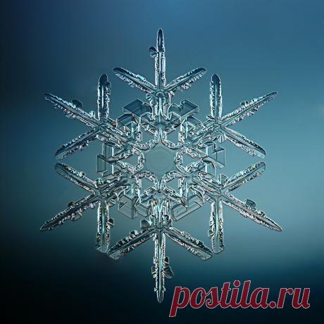 Не сразу поняла, как это снято: невероятной красоты снежинки (настоящие, сделано матушкой-природой и фотографом из Вологды) | Северяночка | Яндекс Дзен