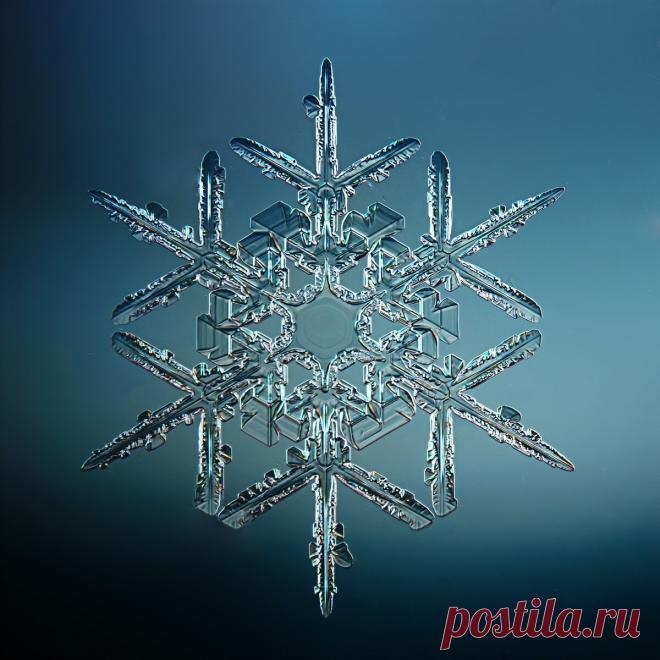 Не сразу поняла, как это снято: невероятной красоты снежинки (настоящие, сделано матушкой-природой и фотографом из Вологды) | Северяночка | Яндекс Дзен