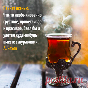 Антон Чехов http://to-name.ru/biography/anton-chehov.htm