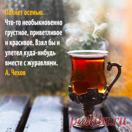 Антон Чехов https://to-name.ru/biography/anton-chehov.htm