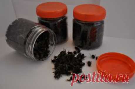 Настой из пчелиного подмора. Полезные свойства подмора