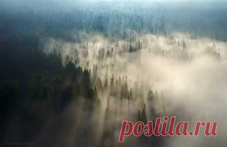 «Дыхание Пармы» Рассвет над уральской тайгой снял Александр Чазов – nat-geo.ru/photo/user/38194. Доброго утра!