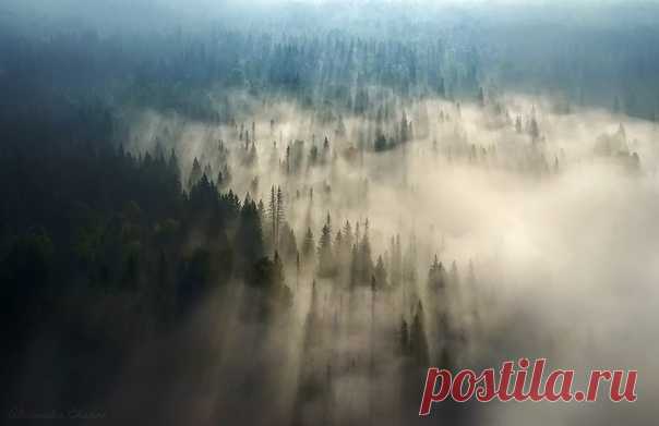 «Дыхание Пармы» Рассвет над уральской тайгой снял Александр Чазов – nat-geo.ru/photo/user/38194. Доброго утра!
