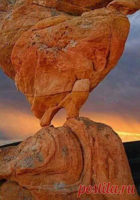 Belle nature