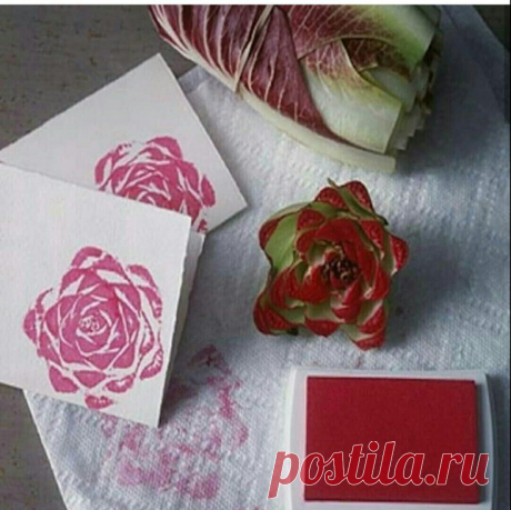 Отпечатки кочерыжки