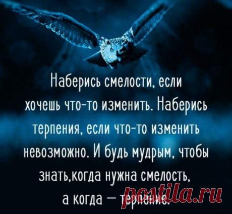 Без комментария