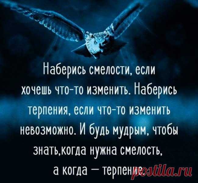 Без комментария