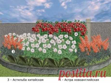 Примеры "ленивых" клумб из многолетних цветов | Усадьба в Сибирской долине | Яндекс Дзен