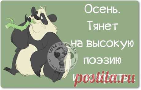 Позитивные фразочки в картинках