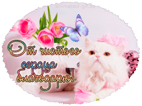 Возьми меня замуж.