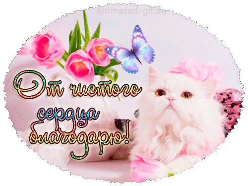 Возьми меня замуж.