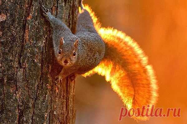 * * * * * * * * * * * *