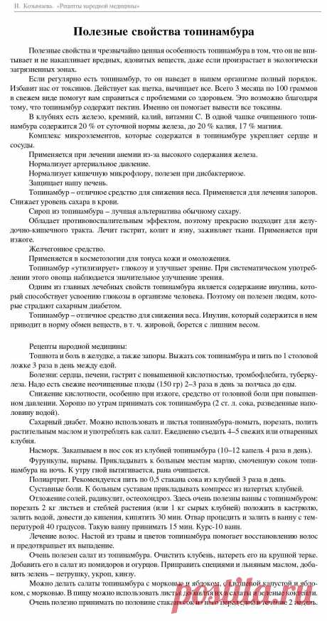 Полезные свойства топинамбура