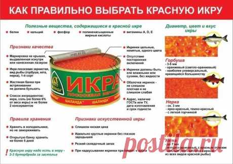 КУЛИНАРИЯ