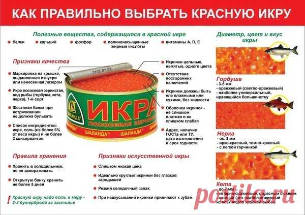 КУЛИНАРИЯ
