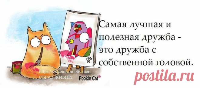 Новости