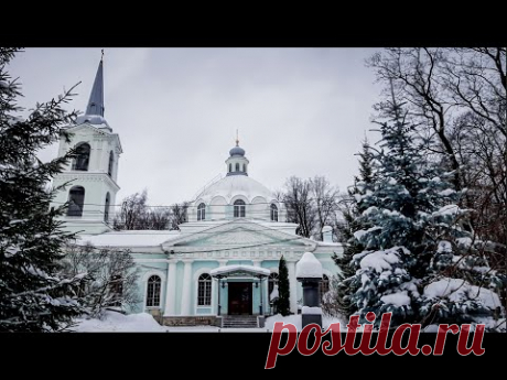 Прогулка по Смоленскому кладбищу зимой. Звуки природы. Санкт-Петербург | АСМР ворон