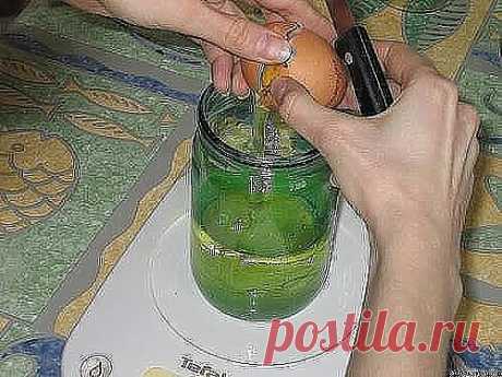 (5) Одноклассники